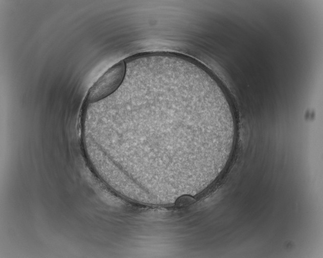 X0000110890885200907301540