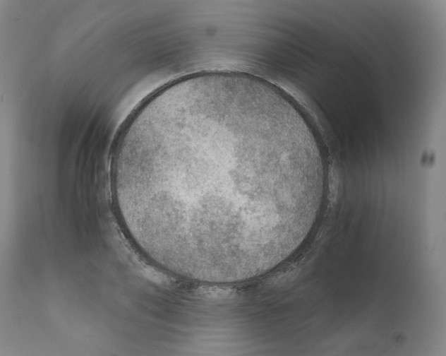 X0000110890886200907301540