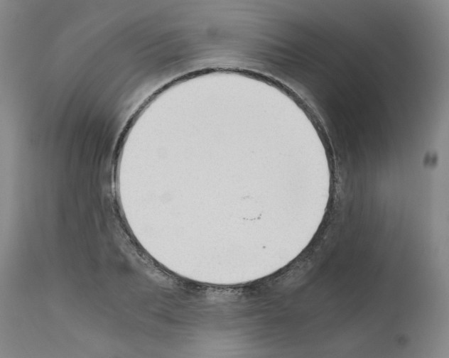 X0000110890887200907301540
