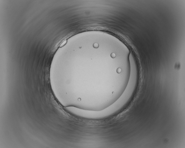 X0000110890889200907301539