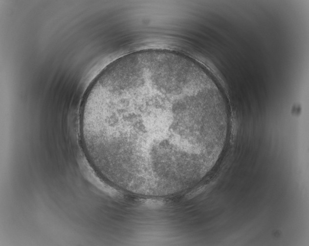 X0000110890890200907301539