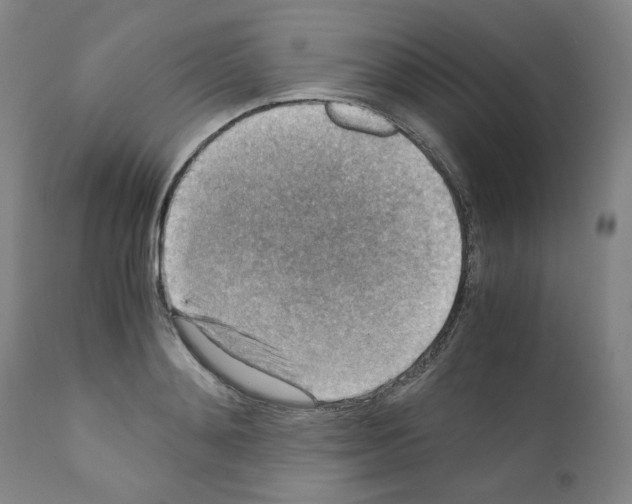 X0000110890892200907301539