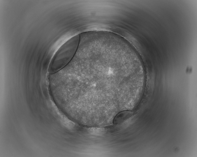 X0000110890893200907301539