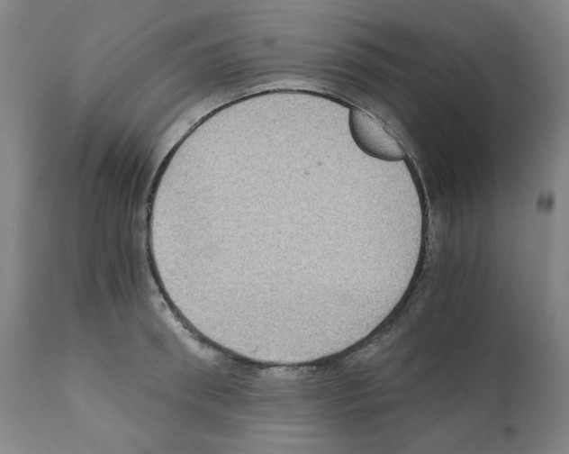X0000110890898200907301539