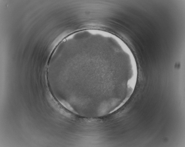 X0000110890899200907301539