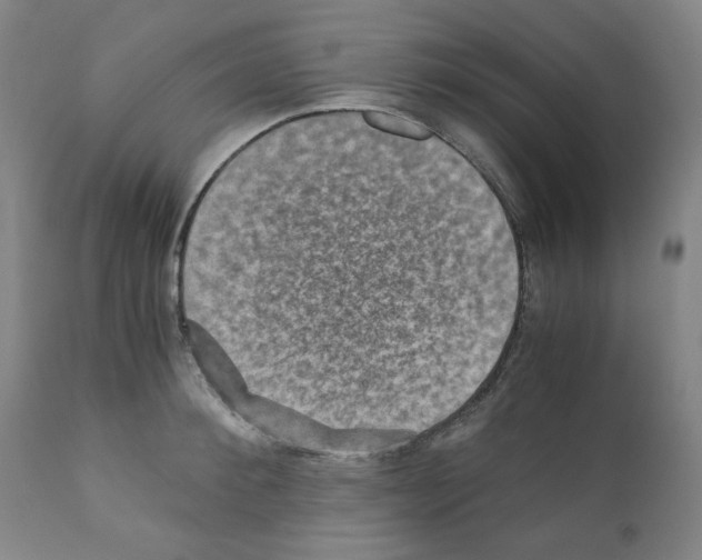 X0000110890900200907301539