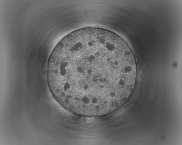 X0000110890903200907301539