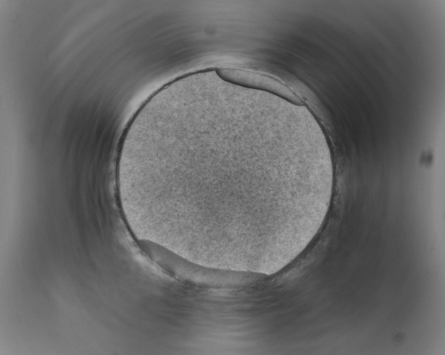 X0000110890904200907301539