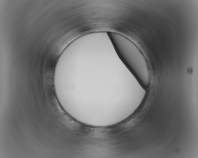 X0000110890905200907301539