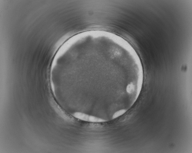 X0000110890907200907301539