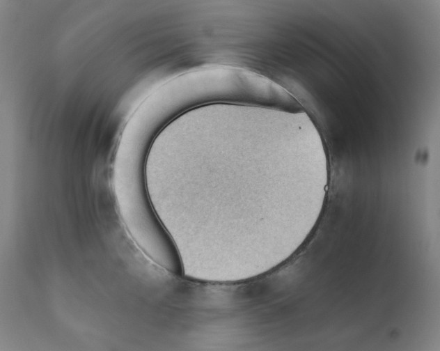 X0000110890908200907301539