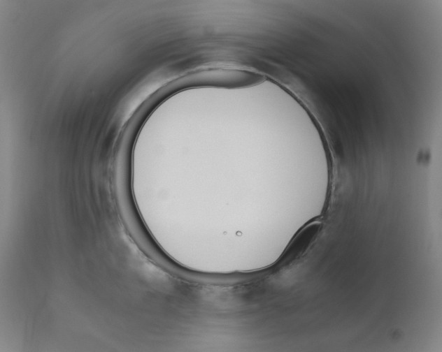 X0000110890909200907301539