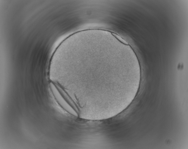 X0000110890912200907301539