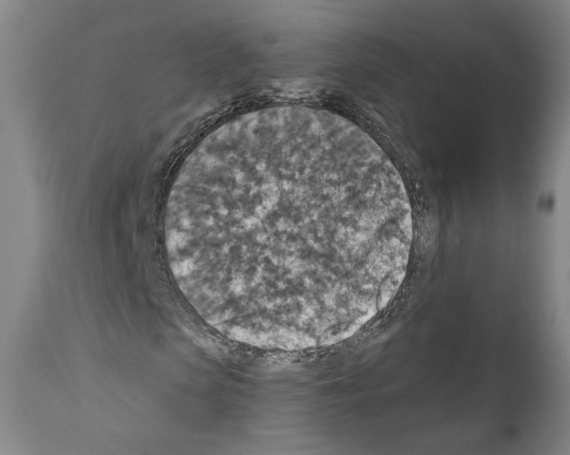 X0000110890913200907301539