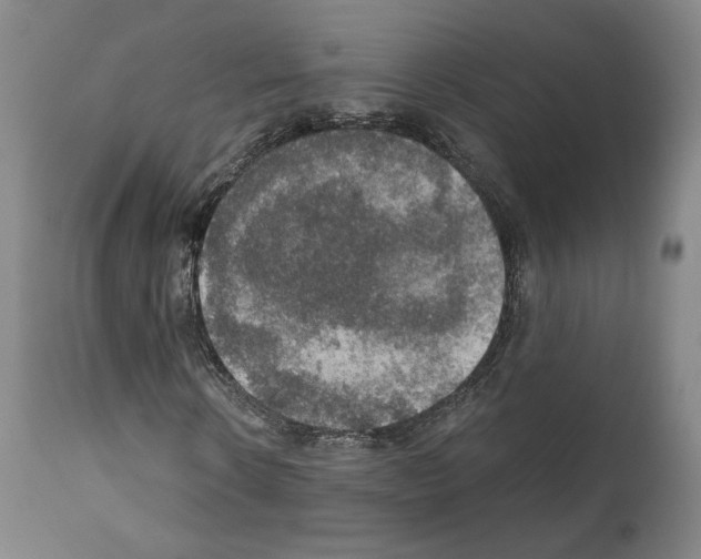 X0000110890914200907301539