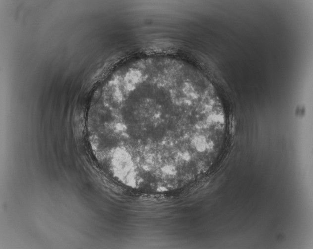 X0000110890915200907301539