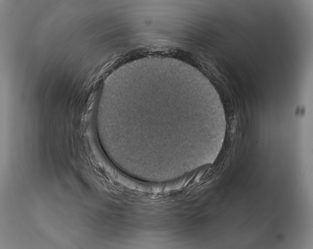 X0000110890916200907301539