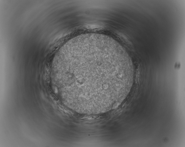 X0000110890917200907301539