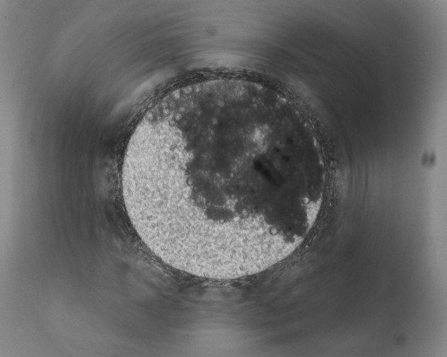 X0000110890918200907301539