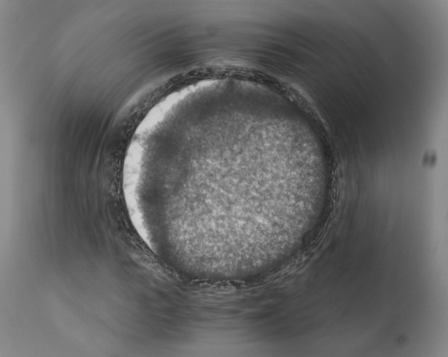 X0000110890919200907301539