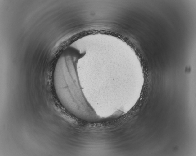 X0000110890920200907301539