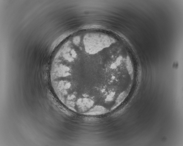 X0000110890921200907301539