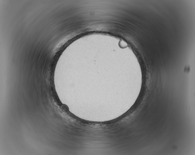 X0000110890922200907301539
