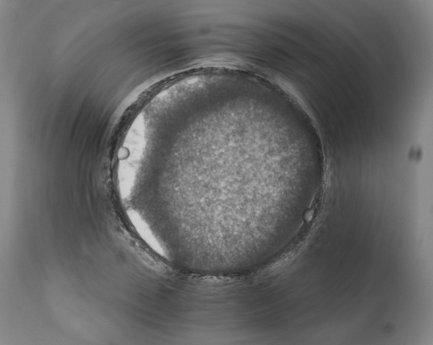 X0000110890923200907301539