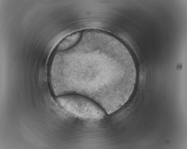 X0000110890924200907301539