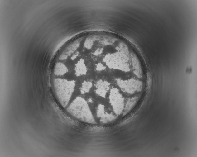 X0000110890925200907301539