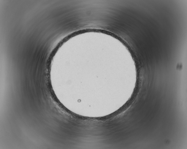 X0000110890926200907301539