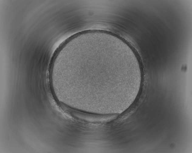 X0000110890928200907301539