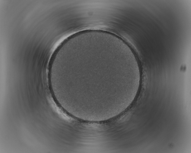 X0000110890932200907301539