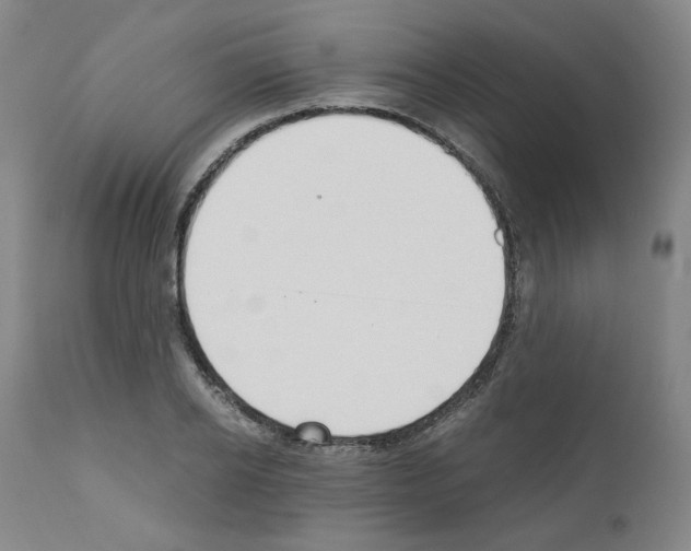 X0000110890934200907301539