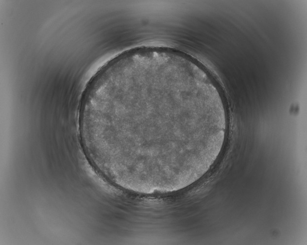 X0000110890935200907301539