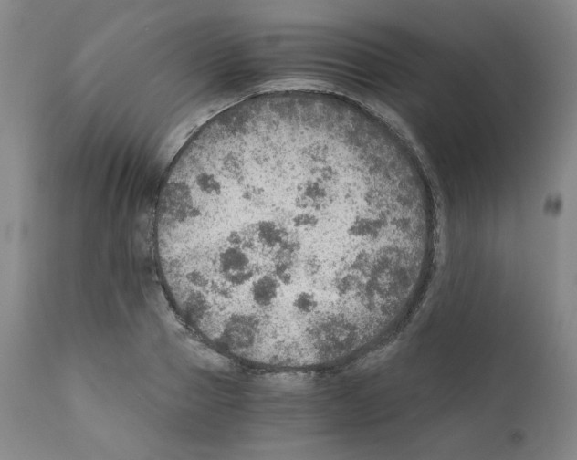 X0000110890937200907301539