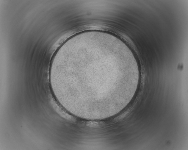 X0000110890938200907301539
