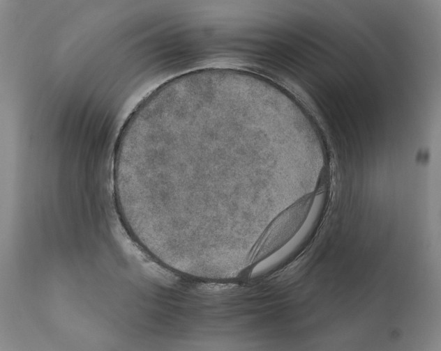 X0000110890939200907301539