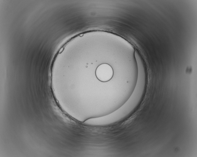 X0000110890940200907301539