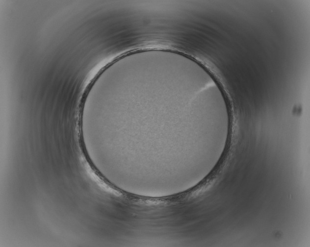 X0000110890941200907301539