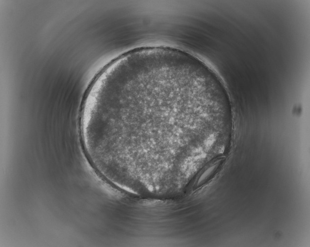 X0000110890943200907301539