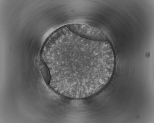X0000110890944200907301539