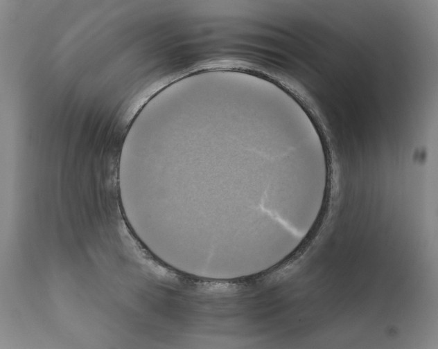X0000110890945200907301539