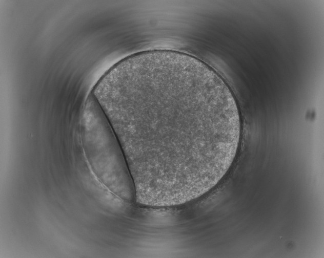 X0000110890948200907301539