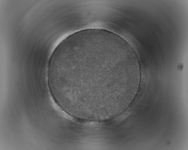 X0000110890950200907301539