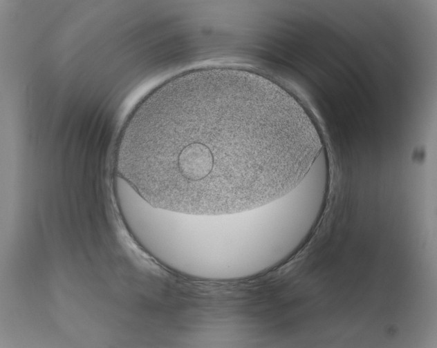 X0000110890952200907301539