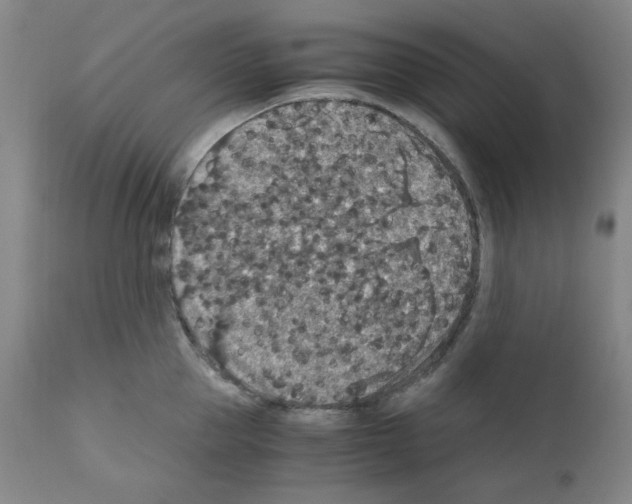 X0000110890953200907301539