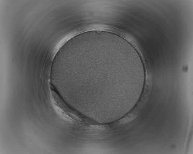 X0000110890954200907301539