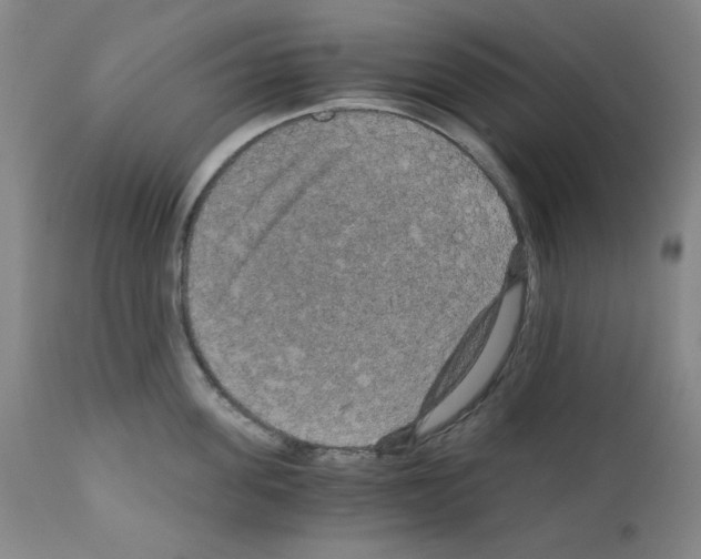 X0000110890955200907301539