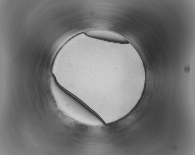X0000110890956200907301539